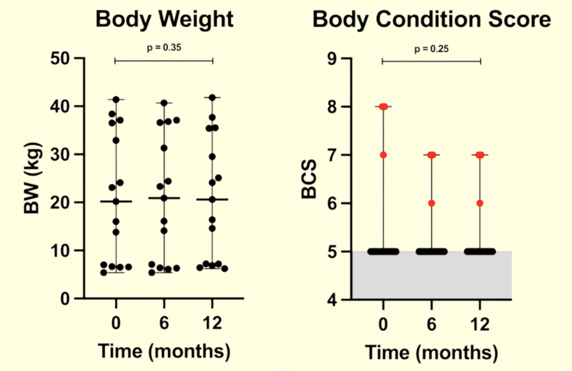 BCS graph